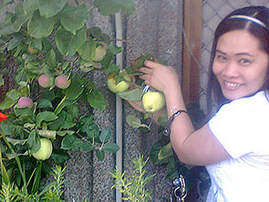 april with apple