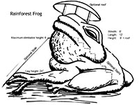 frog sketch
