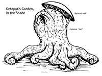 octopus sketch